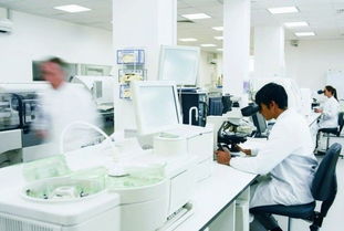 玫瑰綻放富陽(yáng)，國(guó)妝筑夢(mèng)未來(lái) 記杭州好公司的民族品牌之路